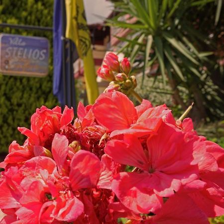 Villa Stelios サルティ エクステリア 写真